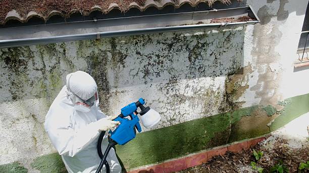 Top rated local Mold Inspection And Testing specialists in Dover, TN
